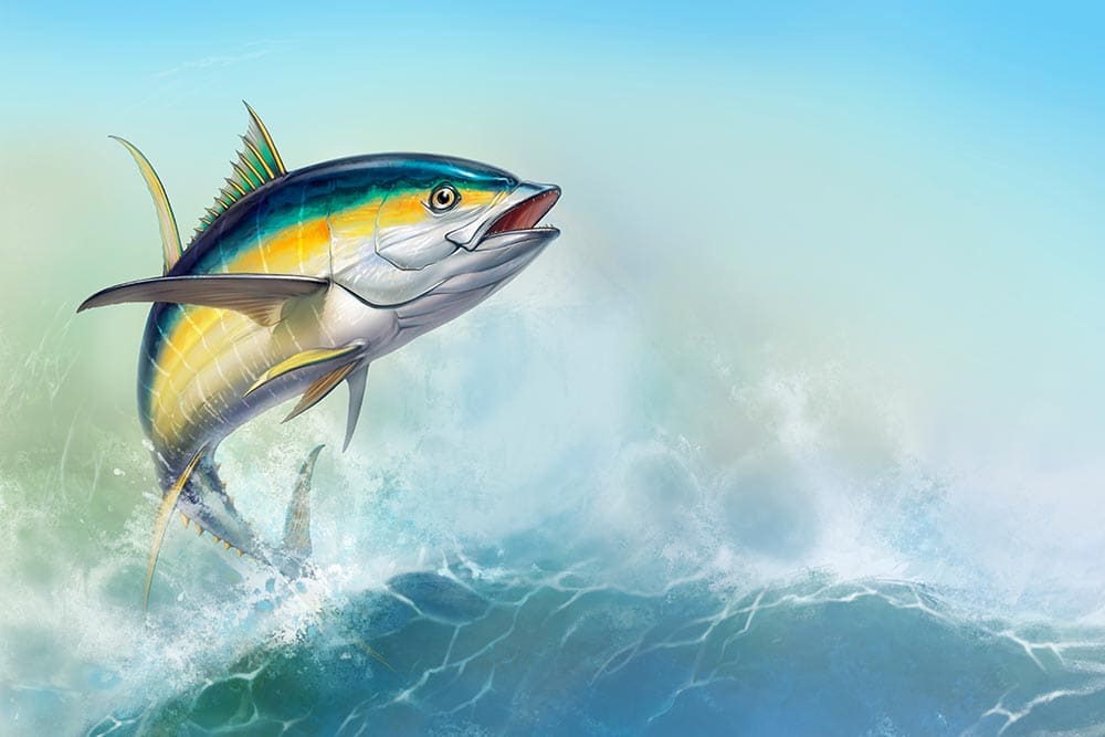 Ocean City Tuna Fishing