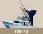 Ocean City , Maryland fishing guide. Charter boats in Ocean City, boat rentals, tackle shops, fishing tips, Ocean City tides, fishing regulations and more.